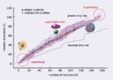 cernsup1_5-04