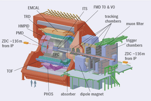 CCAli2_10_08